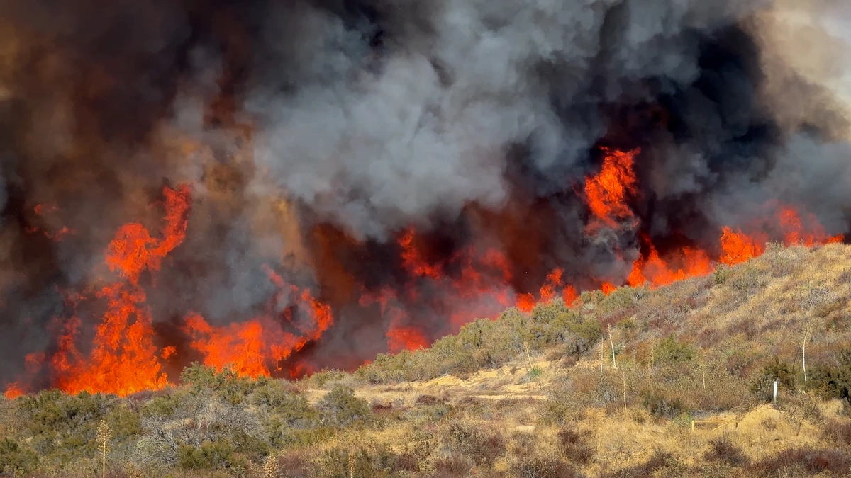 Cambiamenti climatici ed evento estremo rappresentato da un incendio boschivo