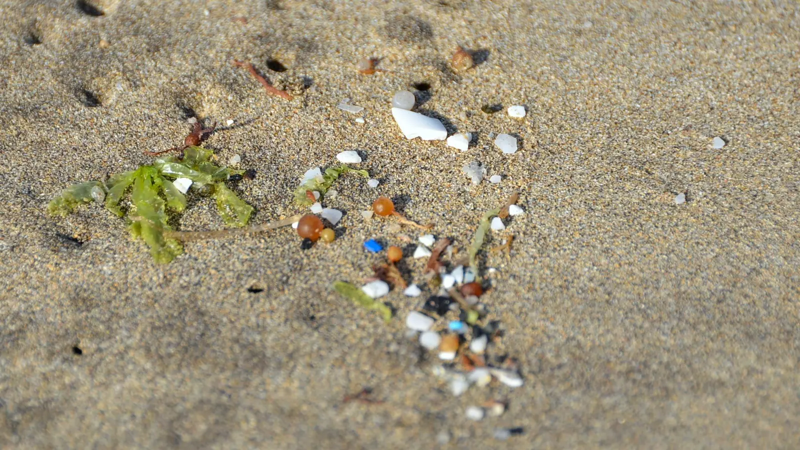 Inquinamento da plastica con microplastiche depositate sulla sabbia