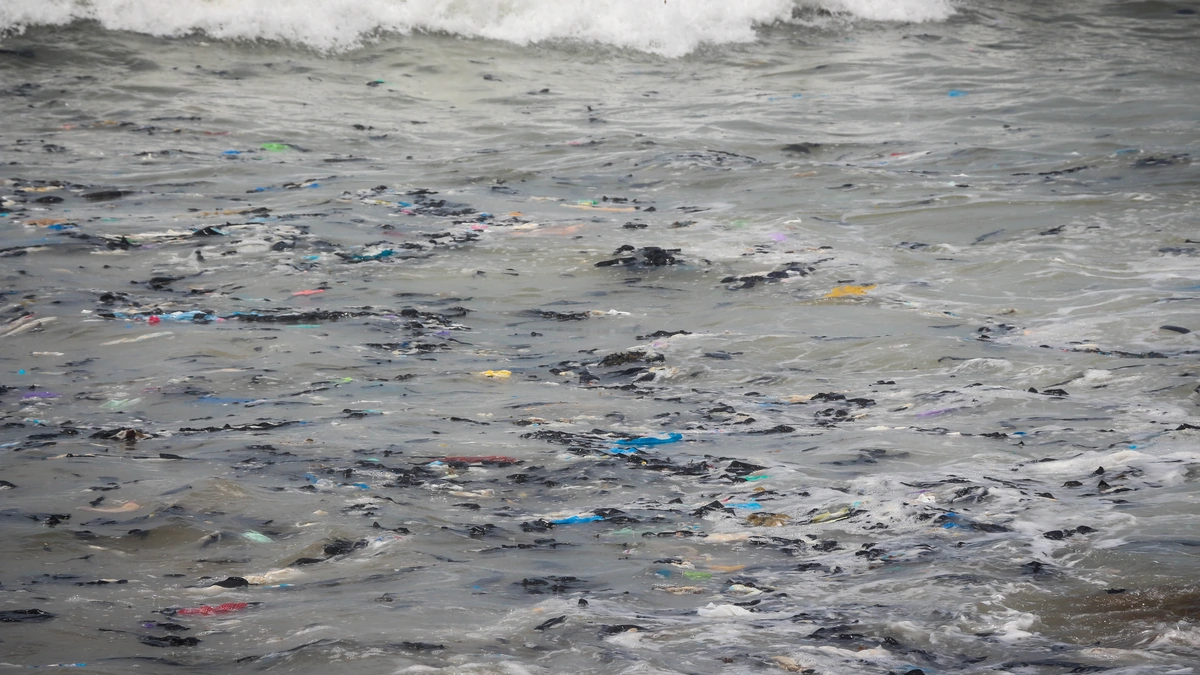 Inquinamento da plastica con rifiuti trasportati dalle onde del mare