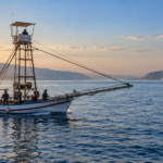 Pesce spada alla messinese: viaggio nei sapori siciliani