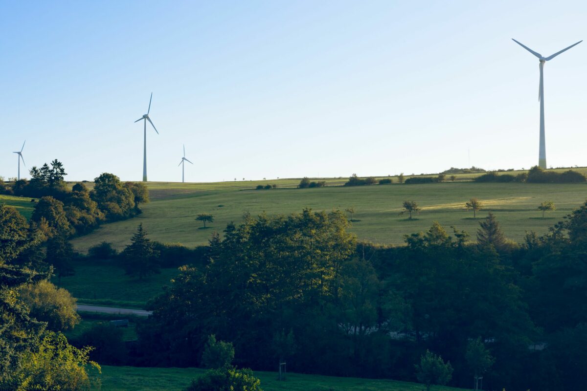 Immagine concettuale su ambiente, salute e sostenibilità per le sfide della transizione ecologica.