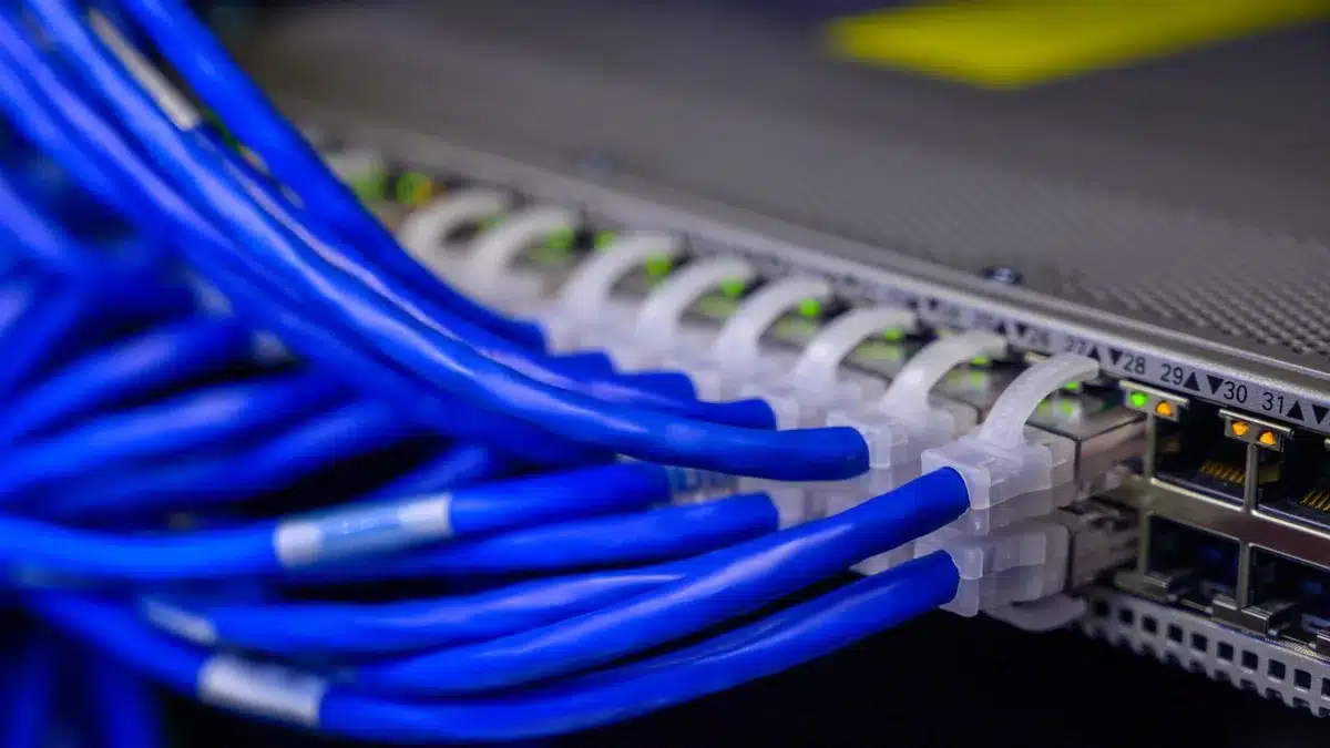 Cavi Ethernet blu collegati alle porte di un apparato di rete