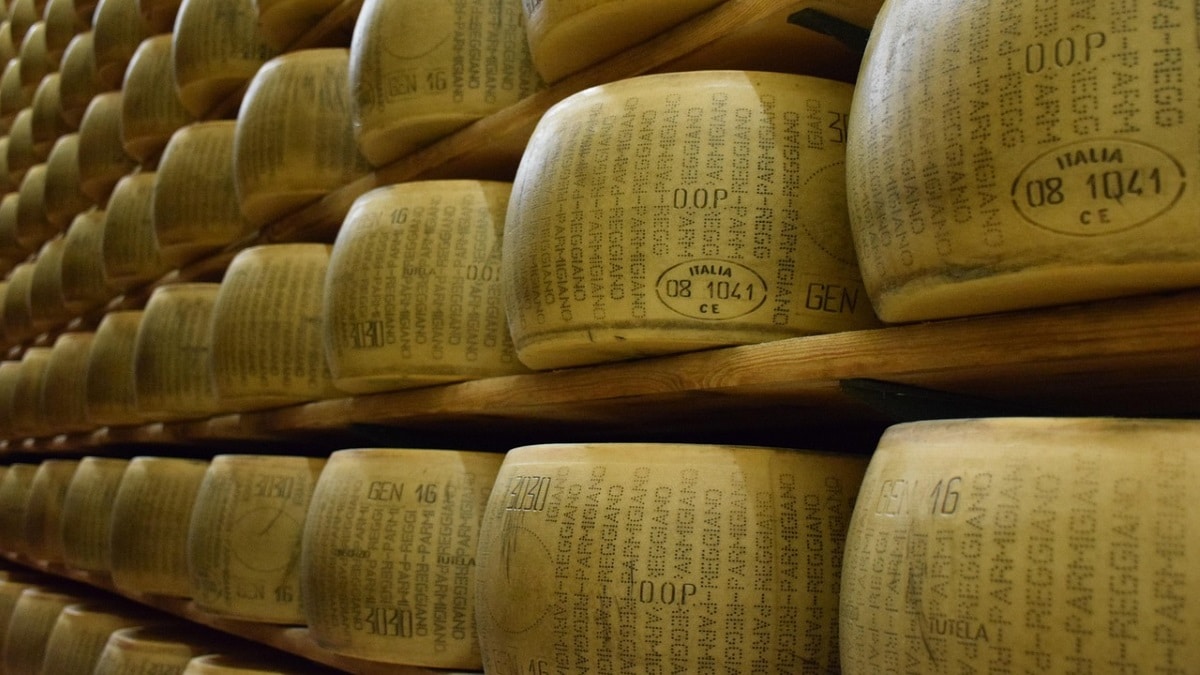 Forme di Parmigiano Reggiano DOP impilate in un magazzino di stagionatura, con il marchio a fuoco visibile.