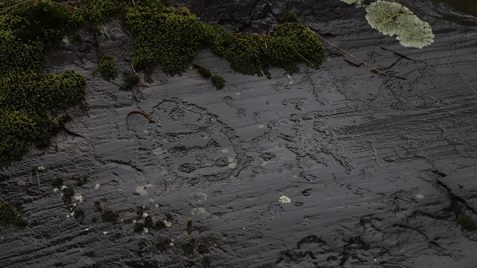 Incisioni sulla superficie rocciosa umida nel parco di Naquane in Valcamonica
